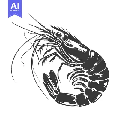 Aset premium populer: Black and White Silhouetted Shrimp Illustration