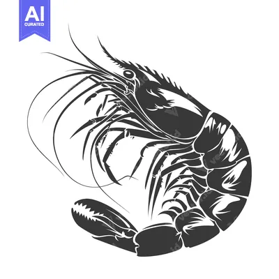 Aset premium populer: Black and White Silhouette of a Shrimp with Extended Antennae