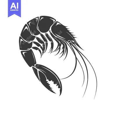 Popular premium asset: Black and white illustration of a shrimp