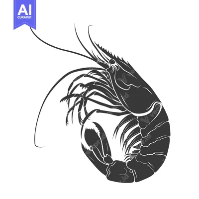 Aset desain premium: Black and White Silhouette of a Shrimp in a Curled Position