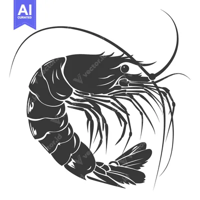 Aset premium populer: Black and white illustration of a shrimp curled up