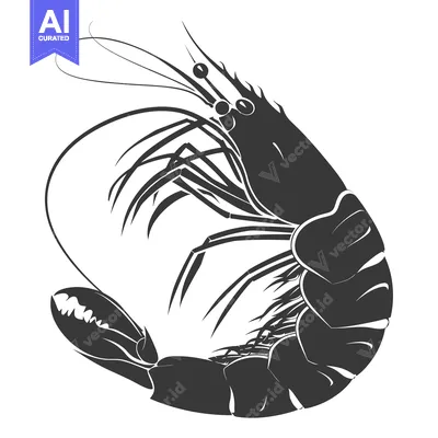 Popular premium asset: A Single Black and White Silhouette of a Shrimp