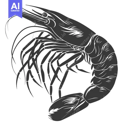 Popular premium asset: Black and White Illustration of a Single Shrimp