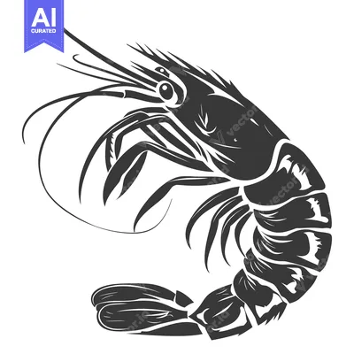 Aset premium populer: Black and White Illustration of a Shrimp with Curved Body