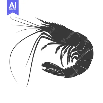 Popular premium asset: Black and White Silhouette of a Shrimp