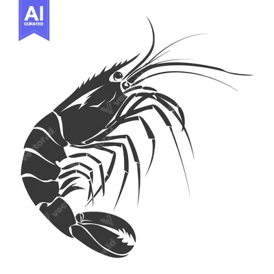 Aset desain premium: Black and White Silhouette of a Shrimp
