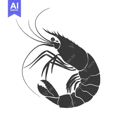 Aset premium populer: Black and White Silhouette of a Shrimp Curled Up