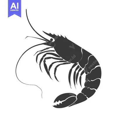 A Black and White Silhouette of a Shrimp