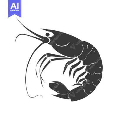 Premium design asset: Black and White Silhouette of a Shrimp with Curved Tail