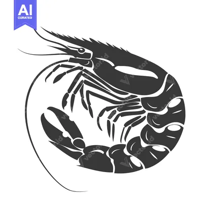 Aset desain premium: Black and White Silhouette of a Curled Shrimp