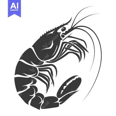 Popular premium asset: Black and White Stylized Illustration of a Shrimp