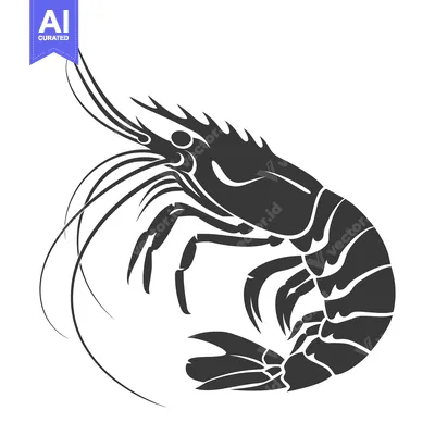 Aset premium populer: Black and White Silhouette of a Shrimp in a Curled Position