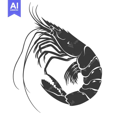 Premium design asset: A Detailed Black and White Silhouette of a Shrimp