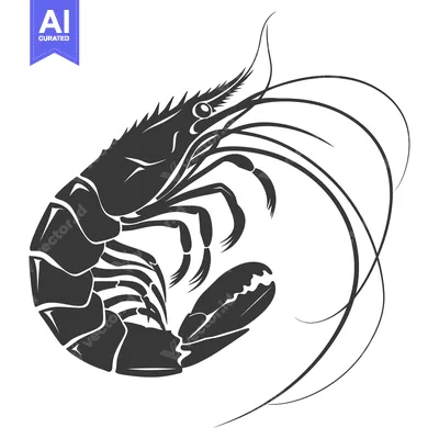 Aset premium populer: Silhouette of a shrimp with extended antennae