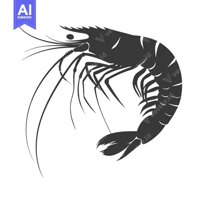 Popular premium asset: Black and White Silhouette of a Shrimp with Curved Body and Long Anten