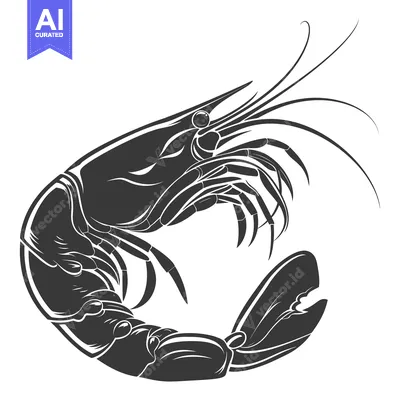 Premium design asset: Black and White Illustration of a Shrimp in a Curled Position