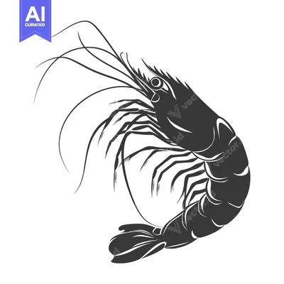 Popular premium asset: Silhouette of a Single Shrimp with Extended Antennae