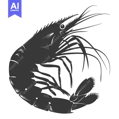 Silhouette of a Shrimp with Curved Body and Extended Antennae