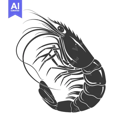 Aset desain premium: A Detailed Black and White Illustration of a Shrimp