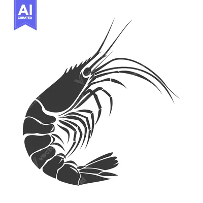 Aset desain premium: A black and white illustration of a shrimp with its tail curled undern