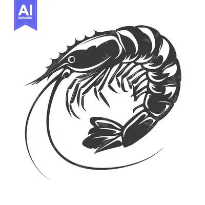 Popular premium asset: Black and White Illustration of a Shrimp in Profile