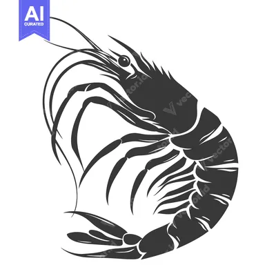 Premium design asset: Black and White Silhouette of a Shrimp with a Curved Body