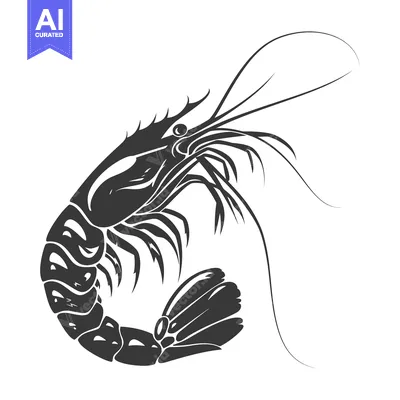 Popular premium asset: Black and white silhouette of a shrimp