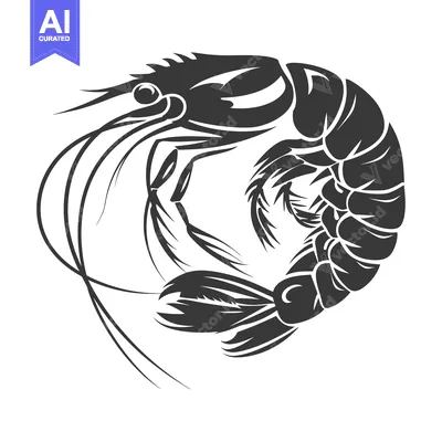Aset premium populer: A Black and White Illustration of a Shrimp in a Circular Shape