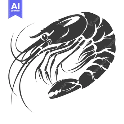 Black and White Illustration of a Shrimp