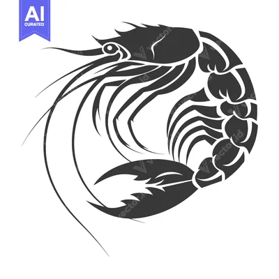 Aset premium populer: Stylized Black and White Illustration of a Shrimp