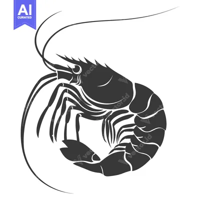 Popular premium asset: Black and White Silhouette of a Shrimp