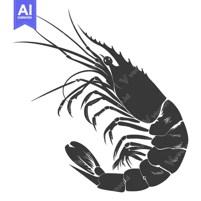 Aset premium populer: A Black and White Illustration of a Shrimp
