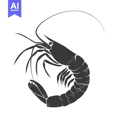 Aset premium populer: Black and White Silhouette of a Shrimp with Curved Tail