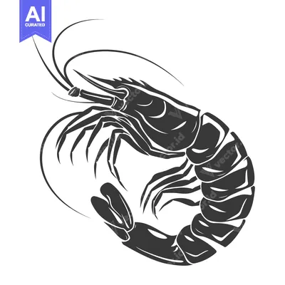 Premium design asset: Black and White Silhouette of a Shrimp