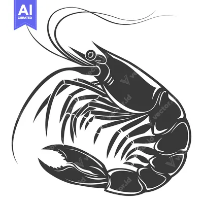 Aset premium populer: Black and White Illustration of a Shrimp with Curved Antennas