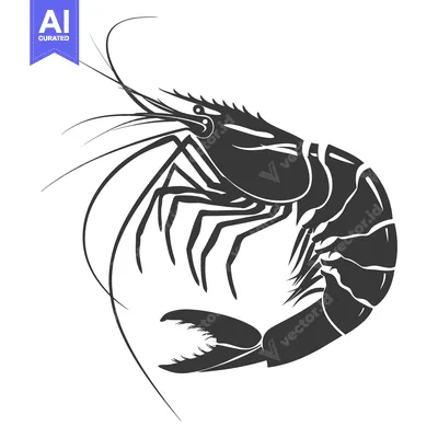 Aset premium populer: A Black and White Silhouette of a Shrimp