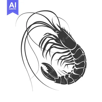 Silhouette of a Shrimp with Its Tail Curved and Antennae Extended
