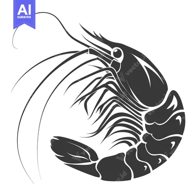Aset premium populer: Black and White Stylized Illustration of a Shrimp