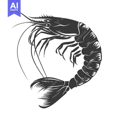 Black and White Silhouette of a Shrimp with Extended Antennae