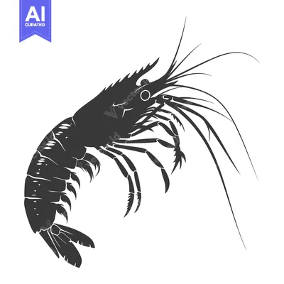 Aset desain premium: A black and white silhouette of a shrimp with its tail curled