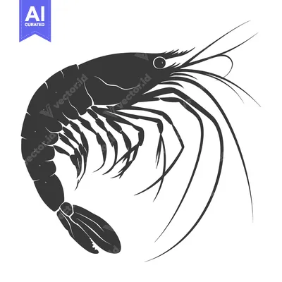Aset premium populer: Black and White Silhouette of a Shrimp Curled in a C Shape