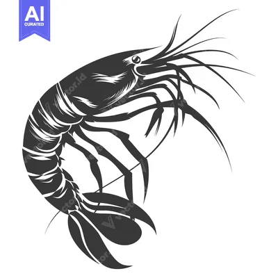 Aset premium populer: Black and White Illustration of a Shrimp with Curved Body and Long Ant