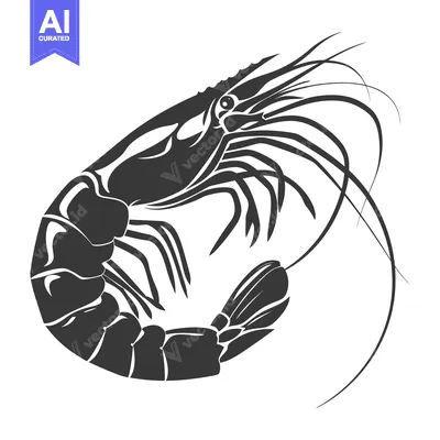Popular premium asset: Black and White Illustration of a Shrimp
