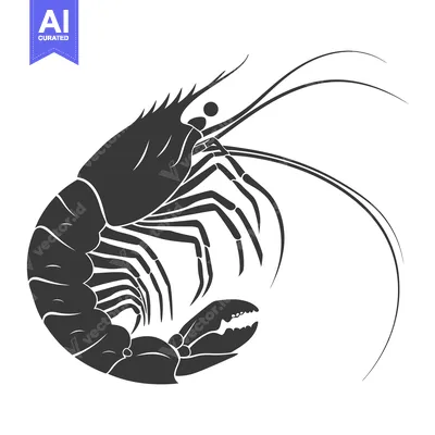 Silhouette of a Shrimp with Curled Tail and Extended Antennae