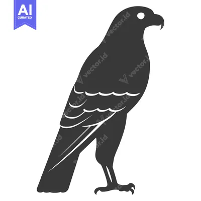 Aset premium populer: Black and White Silhouette of a Falcon Standing on One Leg