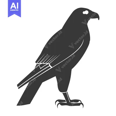 Aset premium populer: Black Silhouette of a Falcon with Sharp Talons