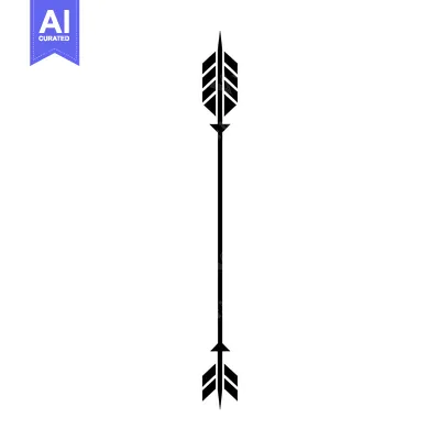 A Single Black Arrow with a Sharp Point and Double Fletching
