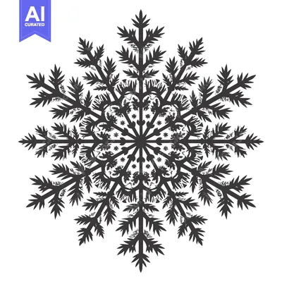 Aset desain premium: Intricate Black and White Snowflake Design