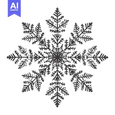Aset premium populer: A Detailed Illustration of a Black and White Snowflake