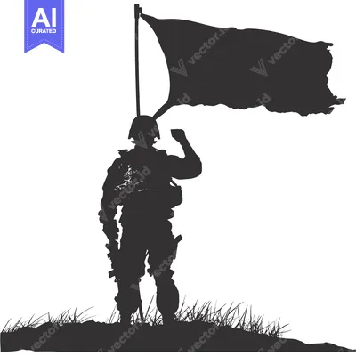 Popular premium asset: Silhouette of a Soldier Raising a Flag in a Field of Grass